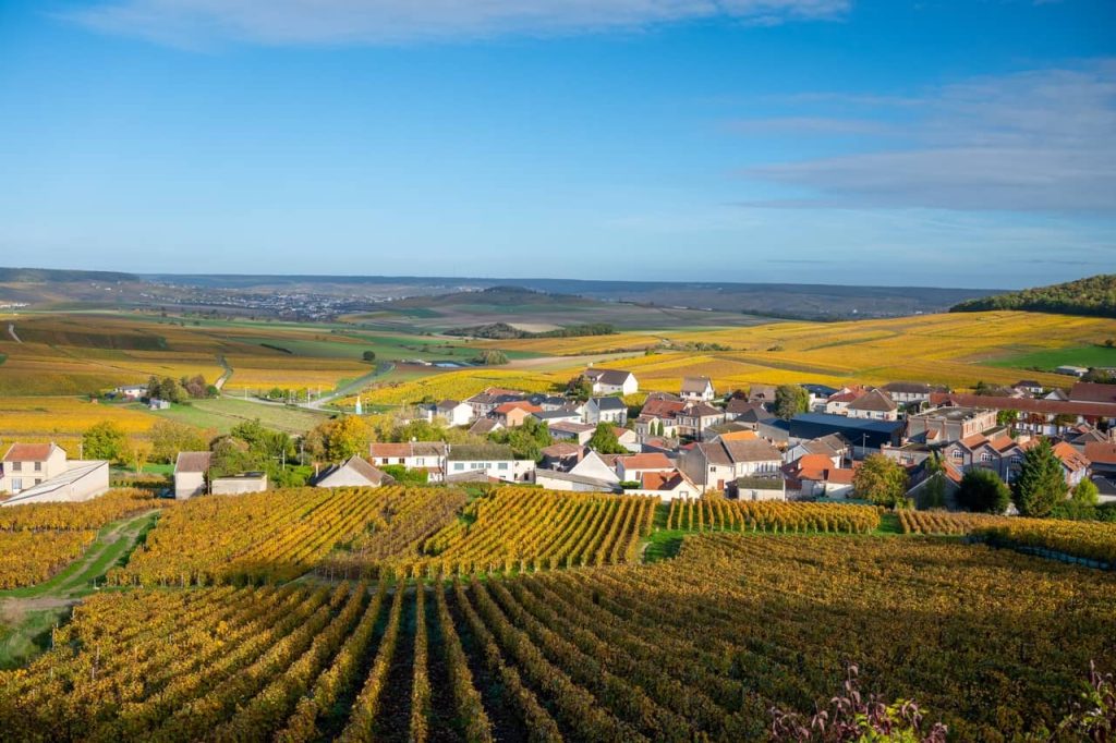 Landscape in Cramant, with vineyards and housing