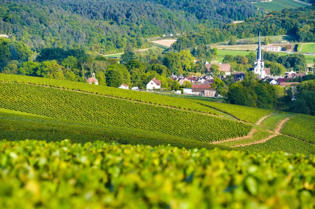 Landscape in Champagne, Cote des bar 