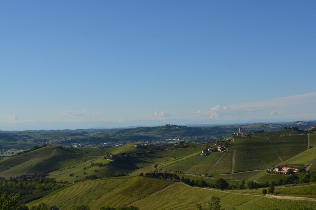 Vigneti a Barbaresco, da Rabajà fino a Pora