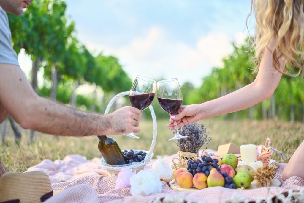 Young people drinking wine in a vineyard