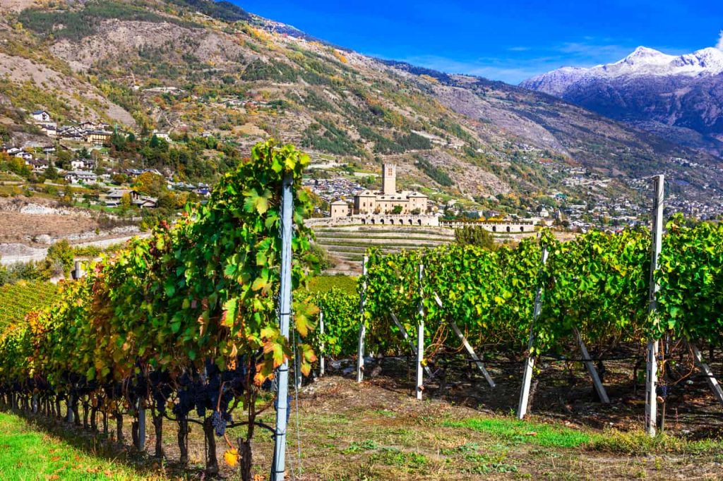 Vigneti con castello di Sarre in Valle d’Aosta