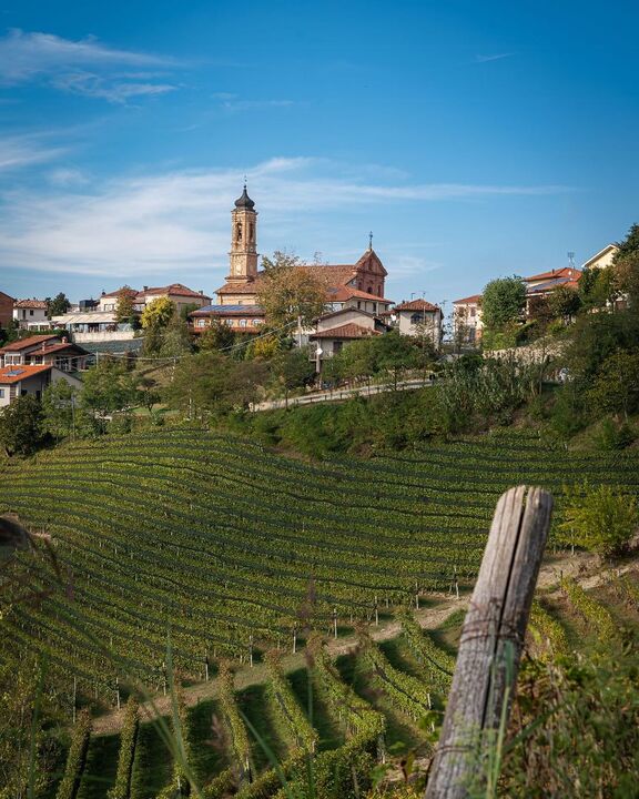 The town of Barbaresco and its landscape