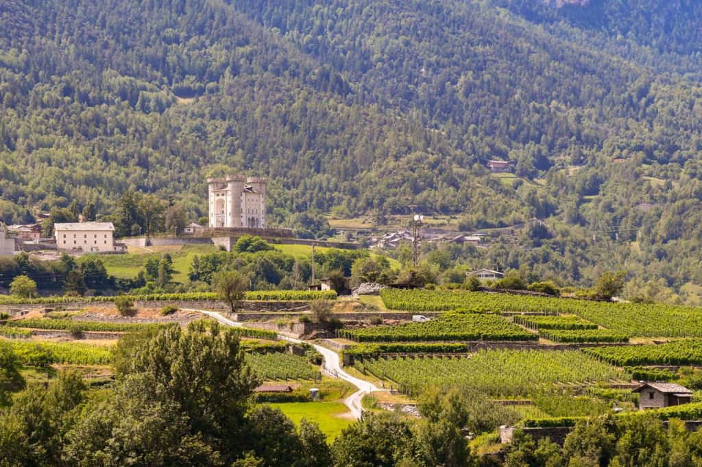 Vigneti e castello a Aymavilles in Valle D’Aosta