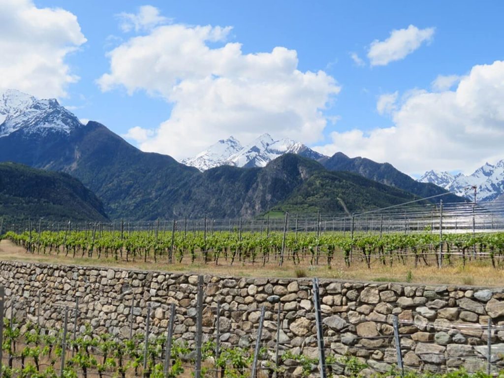 Terrazzamenti di antica origine in Val D’Aosta