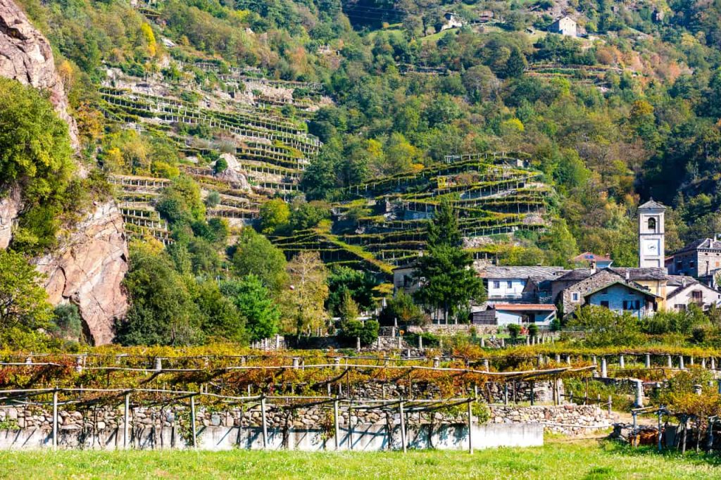 Vigneti terrazzati in Val D’Aosta