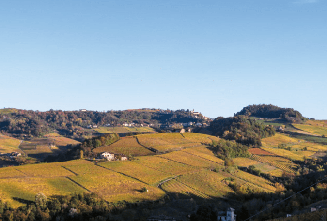 barolo area