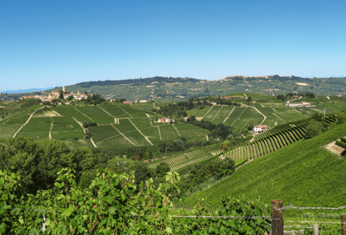 barolo area