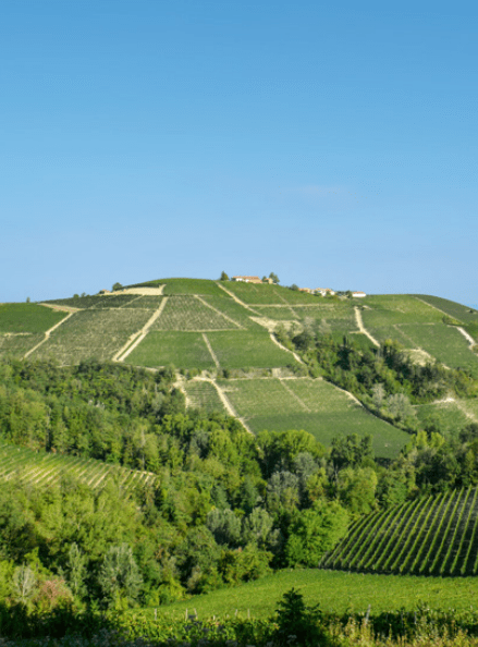 barolo area